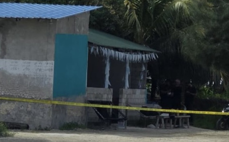 ގިނަ އަދަދެއްގެ މަސްތުވާތަކެއްޗާއެކު ނަޑެއްލާ ޕީއެންސީ އެކްޓިވިސްޓެއް ހައްޔަރުކޮށް ޖަގަހަ ރެއިޑް ކުރަނީ