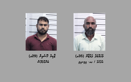 ގިނަ އަދަދެއްގެ މަސްތުވާތަކެއްޗާއެކު މާލެއިން ދެ މީހަކު ހައްޔަރުކޮށްފި