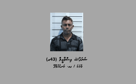 ކުޑަކުދިންތަކަކަށް ޖިންސީގޯނާކުރި މީހެއް 15 އަހަރަށް ޖަލަށްލުމަށް ހުކުމްކޮށްފި