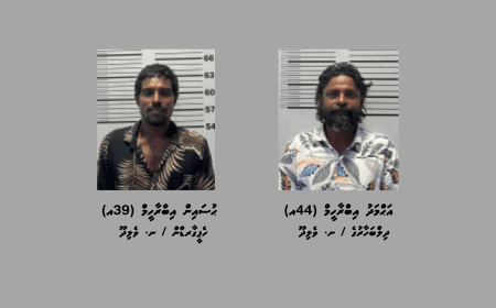 ޑައިމޯފިން ޓްރެފިކް ކުރުމުގެ ކުށް ސާބިތުވެ ދެމީހަކު ޖަލަށް