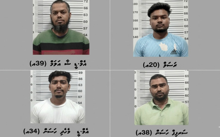 މީހަކު ރަހީނުކުރި މައްސަލައެއްގައި ހަތަރު ބިދޭސީއަކު ޝަރީއަތް ނިމެންދެން ބަންދުކޮށްފި