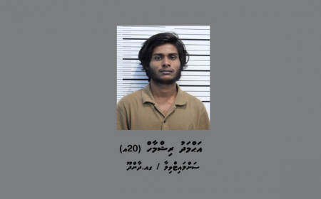 މަންދީ ގަޔަށް ކަޅުތެޔޮ ޖެހި މީހާ މަސްތުވާތަކެތީގެ މައްސަލައެއްގައި ބަންދުކޮށްފި