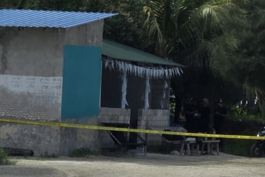 ގިނަ އަދަދެއްގެ މަސްތުވާތަކެއްޗާއެކު ނަޑެއްލާ ޕީއެންސީ އެކްޓިވިސްޓެއް ހައްޔަރުކޮށް ޖަގަހަ ރެއިޑް ކުރަނީ