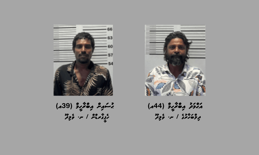 ޑައިމޯފިން ޓްރެފިކް ކުރުމުގެ ކުށް ސާބިތުވެ ދެމީހަކު ޖަލަށް
