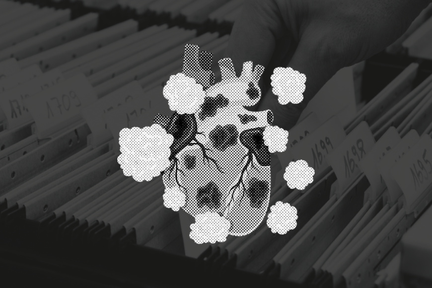 When Bans Fail, Regulation Becomes the Real Public Health Test