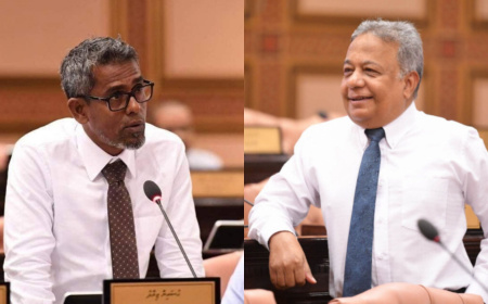 މަޖިލީހުގެ ނައިބު ރައީސްކަމަށް ޕީއެންސީން ސަލީމް، އެމްޑީޕީން ޒިޔާދު