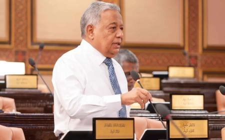 Ahmed Saleem Elected Deputy Speaker of Parliament