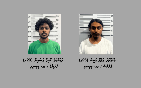 މަސްތުވާތަކެތީގެ ވިޔަފާރީގައި ކުޑަކުދިން ބޭނުންކުރި ދެ މީހަކު ހައްޔަރުކޮށްފި