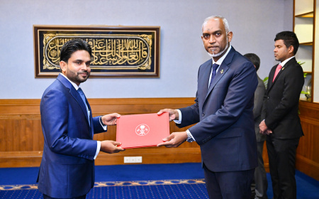 ޖޭއެސްސީގެ ނާއިބުރައީސް ކަމަށް ފަނޑިޔާރު ޝަހީދު އައްޔަނުކޮށްފި