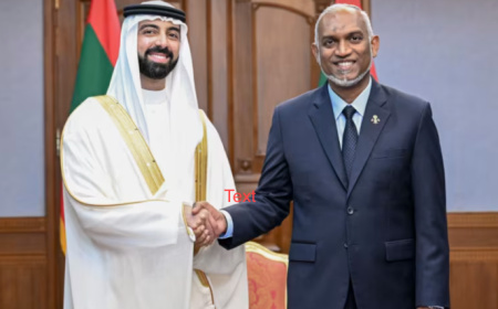ސަރުކާރުން ގެނައީ "ފޭކް ޕްރިންސެއް" ނޫން، މަޝްރޫއު ލަސްވަނީ ސްކޯޕް ބޮޑު ކުރާތީ: މުންދު