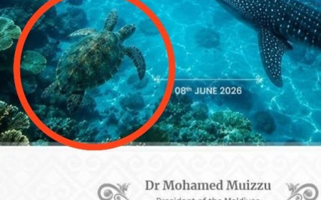 ދުނިޔޭގެ ކަނޑުގެ ދުވަހާއި ގުޅިގެން ރައީސް ކުރެއްވި ޕޯސްޓުގައި ދެ ނިގޫލީ މަހާއި ފަސް އަތްލީ ވެލައެއް