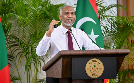 ހާމަކުރަންޖެހޭ މައުލޫމާތުގެ އެންމެ މަދު މިންވަރު ހާމަކޮށްް ސަރުކާރަށް ޑީ ފާހެއް