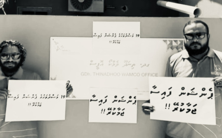 ޕެންޝަން ޖަމާނުކޮށްގެން މުޒާހަރާ ކުރި ވެމްކޯގެ ދެ މުވައްޒަފުން ވަޒީފާއިން ކަނޑާލައިފި