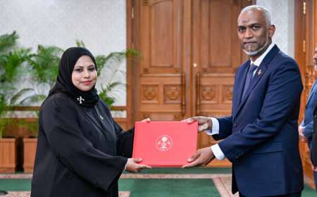 އާޓްސް މިނިސްޓްރީން މުސާރައިގެ %74 ހޭދަކުރަނީ ސިޔާސީ މުވައްޒަފުންނަށް