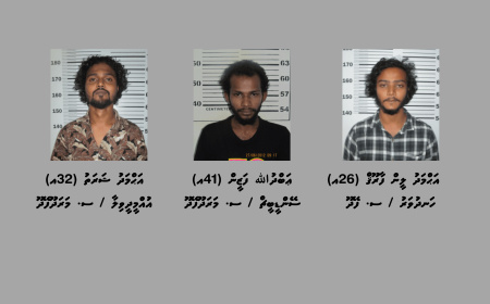 މަސްތުވާތަކެއްޗާއެކު އައްޑޫ ސިޓީން ހަތަރު މީހުން ހައްޔަރުކޮށްފި