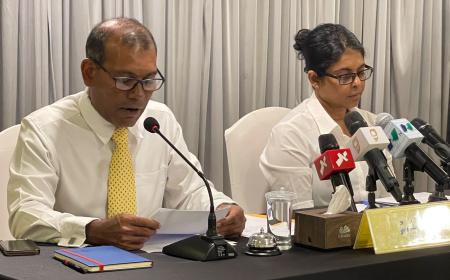 ސަރުކާރާއި ދެކޮޅަށް ސީދާ ހަރަކާތަށް ނިކުތުމަށް އެމްޑީޕީ ގައުމީ މަޖިލީހުން ނިންމައިފި