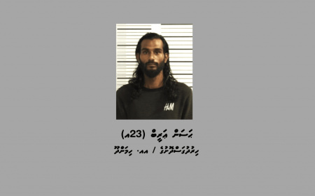 ފެރިދޫއަށް މަސްތުވާތަކެތި އެތެރެކުރިކަމުގެ ތުހުމަތުގައި މީހަކު ހައްޔަރުކޮށްފި