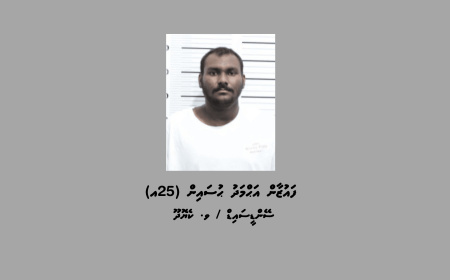 ގިނަ އަދަދެއްގެ މަސްތުވާތަކެތި އެތެރެކުރުމުގެ ތުހުމަތުގައި މީހަކު ހައްޔަރުކޮށްފި