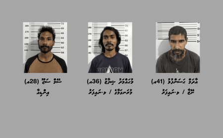 މަސްތުވާތަކެތީގެ މައްސަލައެއްގައި ޅ. ނައިފަރުން ތިން މީހަކު ހައްޔަރުކޮށްފި
