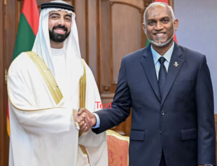 ސަރުކާރުން ގެނައީ "ފޭކް ޕްރިންސެއް" ނޫން، މަޝްރޫއު ލަސްވަނީ ސްކޯޕް ބޮޑު ކުރާތީ: މުންދު