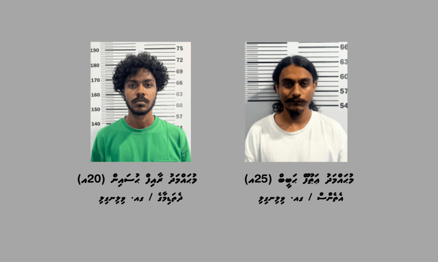 މަސްތުވާތަކެތީގެ ވިޔަފާރީގައި ކުޑަކުދިން ބޭނުންކުރި ދެ މީހަކު ހައްޔަރުކޮށްފި