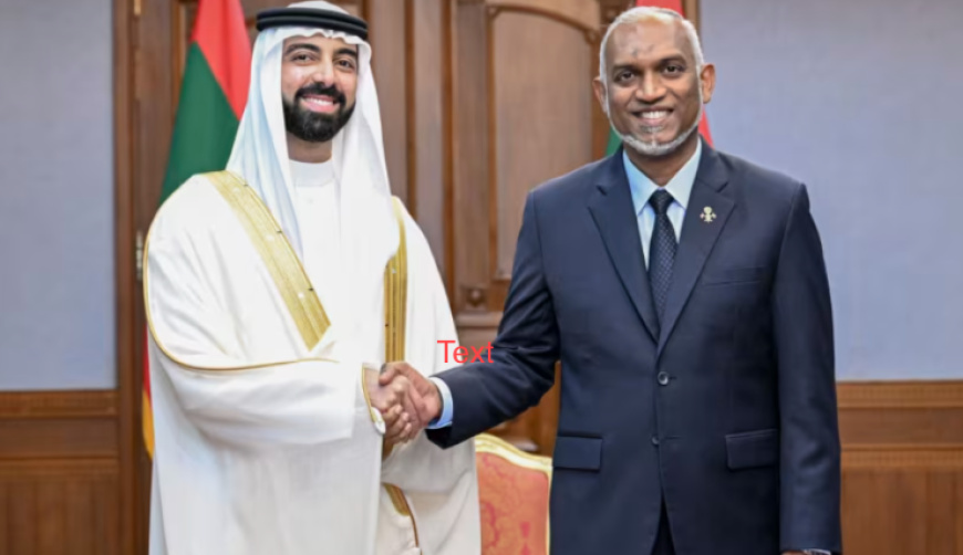 ސަރުކާރުން ގެނައީ "ފޭކް ޕްރިންސެއް" ނޫން، މަޝްރޫއު ލަސްވަނީ ސްކޯޕް ބޮޑު ކުރާތީ: މުންދު