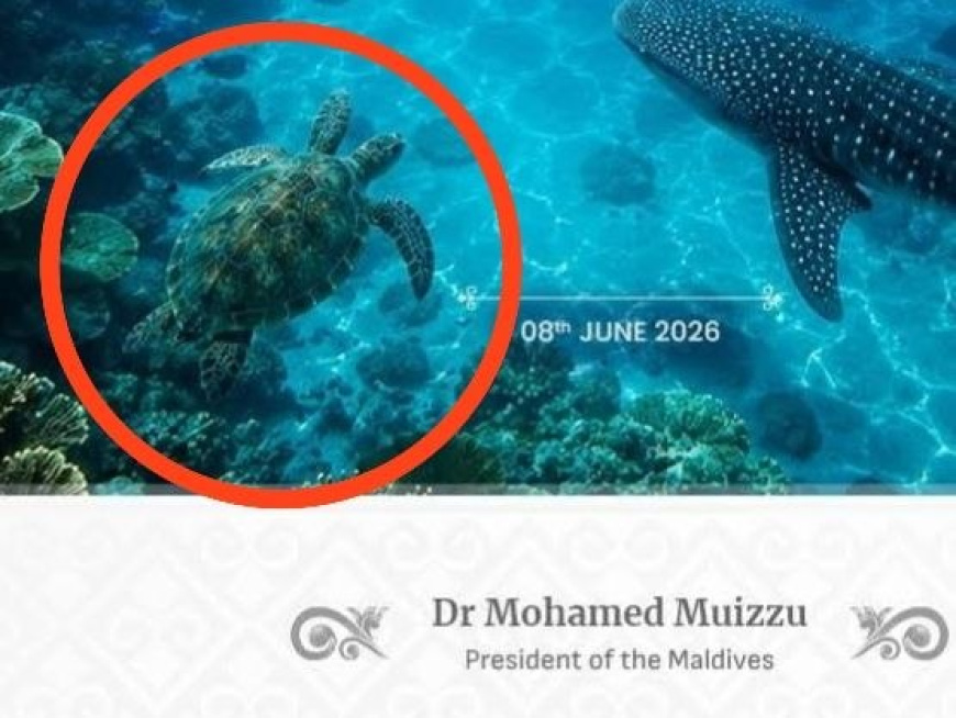 ދުނިޔޭގެ ކަނޑުގެ ދުވަހާއި ގުޅިގެން ރައީސް ކުރެއްވި ޕޯސްޓުގައި ދެ ނިގޫލީ މަހާއި ފަސް އަތްލީ ވެލައެއް