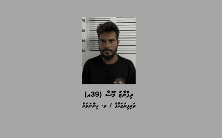 މަސްތުވާތަކެތީގެ ވިޔަފާރިކުރާ ކަމުގެ ތުހުމަތުގައި ހިންނަވަރުން މީހަކު ހައްޔަރުކޮށްފި
