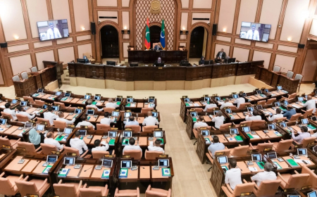 ހޯލްސޭލް ކުރާއިރު 'ކޮތަޅު ފީ' ނުނަގާ ގޮތަށް ގާނޫނު އިސްލާހު ކުރަނީ