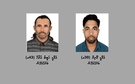 ގަވާއިދާ ޚިލާފަށް ކުނި އުކާލުމުގެ މަސައްކަތް ކުރަމުންދިޔަ ދެ ބިދޭސީއަކު އިމިގްރޭޝަނާ ހަވާލުކޮށްފި