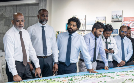 އަޅުގަނޑު ދެން ގިނަ ވަގުތު ހޭދަކުރާނީ ގަސް އިންދަން: އެޗްޑީސީގެ ސީއޯއޯ