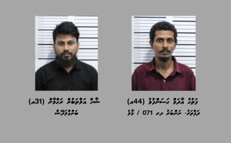 ތިން ކިލޯއަށްވުރެ ގިނަ މަސްތުވާތަކެއްޗާއެކު ދެ މީހަކު ހައްޔަރުކޮށްފި