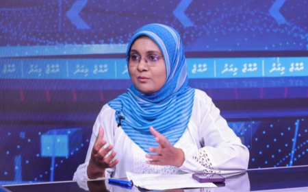 ޓެކުސް ކޮމިޝަނަރުގެ މަގާމަށް އަމީޒާ އައްޔަނުކޮށްފި