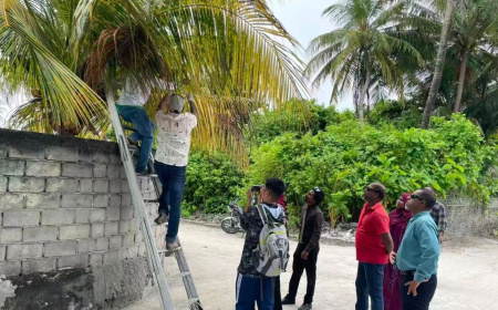 ހުދުކޫޑި ކޮންޓްރޯލުކުރުމަށް ރުއްތަކަށް ބޭސް ޖެހުމުގެ ޕްރޮގުރާމެއް ފަށައިފި