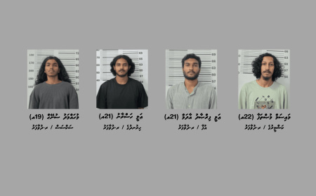 މަސްތުވާތަކެއްޗާއެކު ދުވާފަރުން ހަތަރު މީހަކު ހައްޔަރުކޮށްފި