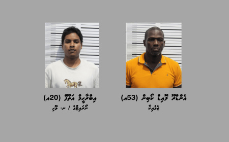 ކިލޯއަކަށްވުރެ ގިނަ މަސްތުވާތަކެތި ރާއްޖެ އެތެރެކުރިކަމުގެ ތުހުމަތުގައި ބަޔަކު ހައްޔަރުކޮށްފި