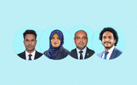 ހަތަރު ކުންފުންޏެއްގެ ބޯޑަށް މެންބަރުން އައްޔަނުކޮށްފި