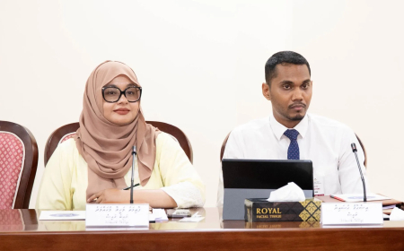 ވަޒީފާއާ ބެހޭ ޓްރައިބިއުނަލްގެ ނައިބު ރައީސްގެ މަގާމުން މަހީރާ ވަކިކޮށްފި