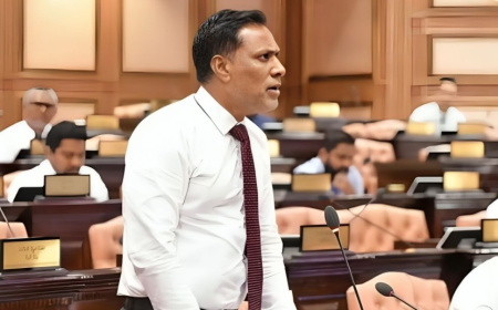 ނާޒިމް އިސްވެ ހުރެ މާލިއްޔަތު ކޮމިޓީން ބެލި މައްސަލަތަކުގެ ލިޔެކިޔުން ގެއްލިއްޖެ: ޝަމްހީދު