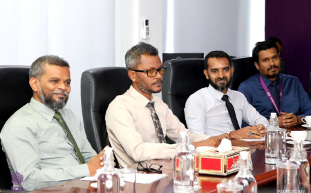 ސިޔާސީ ޕާޓީތަކުގެ މާލިއްޔަތު ބެލެހެއްޓުމުގެ ހާއްސަ އުސޫލެއް އެކުލަވާލަނީ