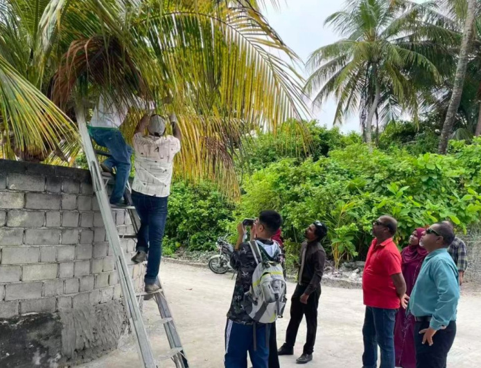 ހުދުކޫޑި ކޮންޓްރޯލުކުރުމަށް ރުއްތަކަށް ބޭސް ޖެހުމުގެ ޕްރޮގުރާމެއް ފަށައިފި